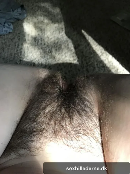 Bush out in the sun