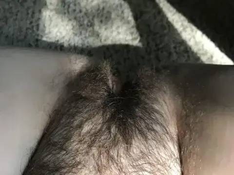 Bush out in the sun